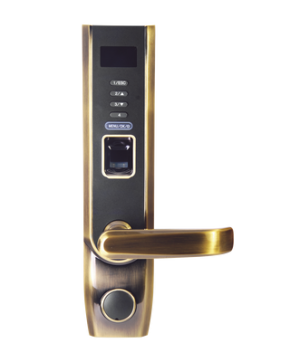 Chapa Derecha en Color Latón con Lector de Huella, Proximidad y Teclado